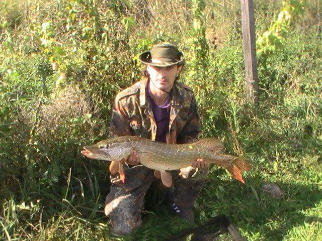 CONCURS LIKE-URI  - VOT PE FACEBOOK  - David Sevastian